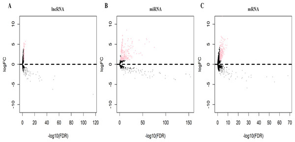 Volcano plots of differentially expressed RNAs (A, DElncRNAs; B, DEmiRNAs; C, DEmRNAs) in lung squamous cell carcinoma (LUSC).