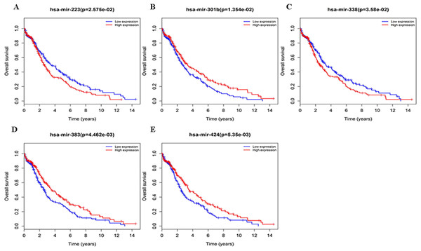 Survival curves for DEmiRNAs that are associated with the overall survival (OS) of LUSC patients.