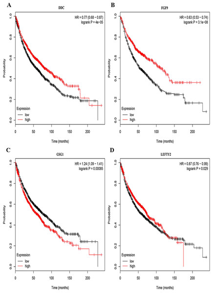 Survival curves for DEmRNAs that are associated with the overall survival (OS) of LUSC patients.