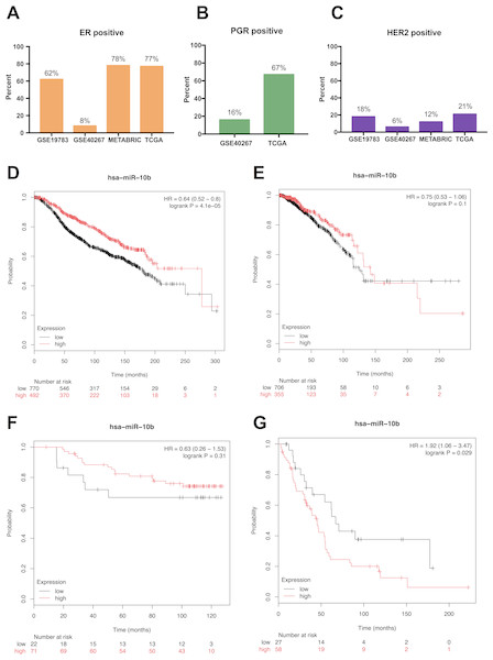 Prognostic value of miR-10b-5p in breast cancer from the KM plotter database.