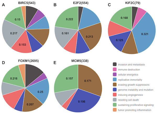 Association between the target genes of miR-10b-5p and hallmarks of cancer from Cancer Hallmarks Analytics Tool (CHAT).