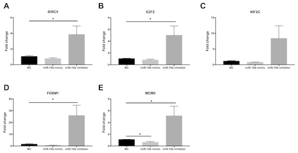 Quantitative RT-PCR analysis of target genes in MDA-MB-231 cells.