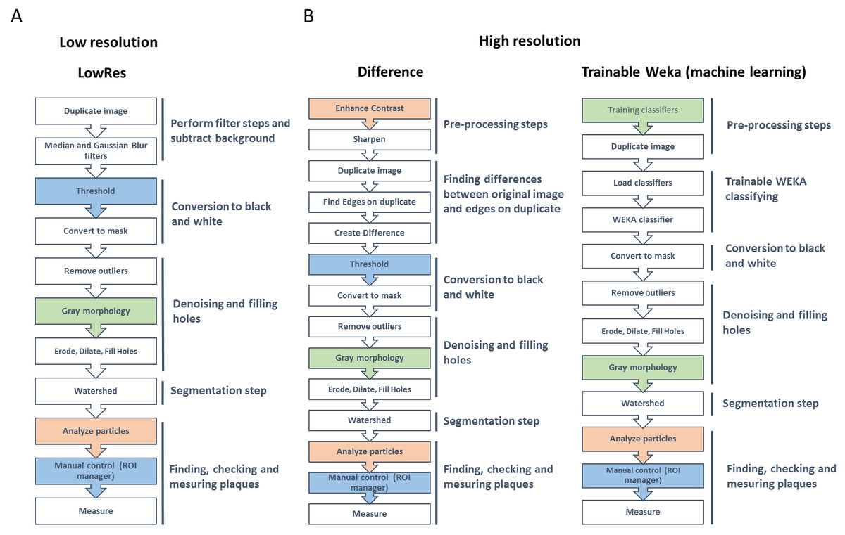 Viralplaque A Fiji Macro For Automated Assessment Of Viral