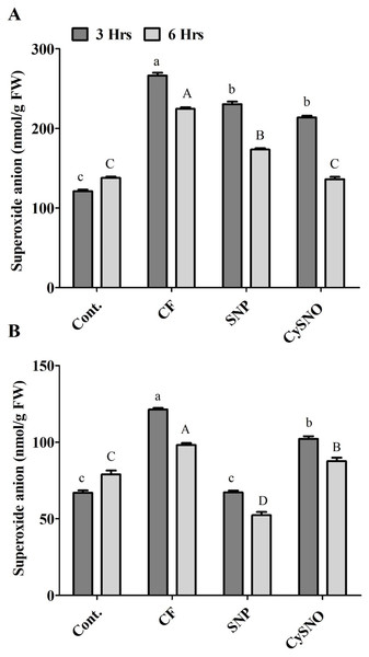 Application of exo-NO sources resulted in reduced ROS production, accumulation of superoxide anion in Daewon (A) and Pungsannamul (B) cultivars after 3 h (lowercase) and 6 h (uppercase) of flooding stress.