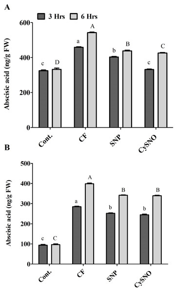 NO regulates cellular ABA levels in Daewon (A) and Pungsannamul (B) cultivars.