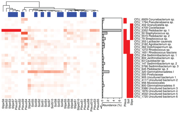 Heatmap of the relative abundances of the 29 indicator taxa significantly associated with Morchella sextelata pileus, stipe, pileus and stipe, pileus and soil, stipe and soil.