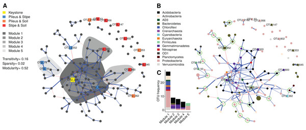Microbial co-occurrence network showing the prokaryotic community structure of Morchella sextelata.