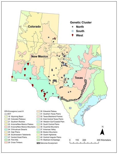 Sampling locations of 542 Texas horned lizards, Phrynosoma cornutum, within EPA level III ecoregions (https://www.epa.gov/eco-research/level-iii-and-iv-ecoregions-continental-united-states).