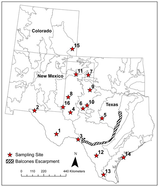 Locations of 16 sampling sites with ≥10 individual Texas horned lizards, Phrynosoma cornutum.