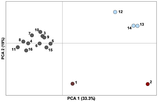 Principal component analysis of pairwise F′ST values determined with ten nuclear microsatellites, between 16 sampling sites (n = 449 individuals) with ≥10 Texas horned lizards, Phrynosoma cornutum, each.