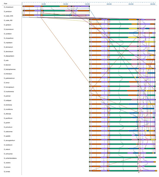Whole chloroplast genome alignment of 38 orchid species.