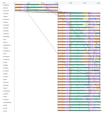 The complete chloroplast genome of Dendrobium nobile, an endangered ...