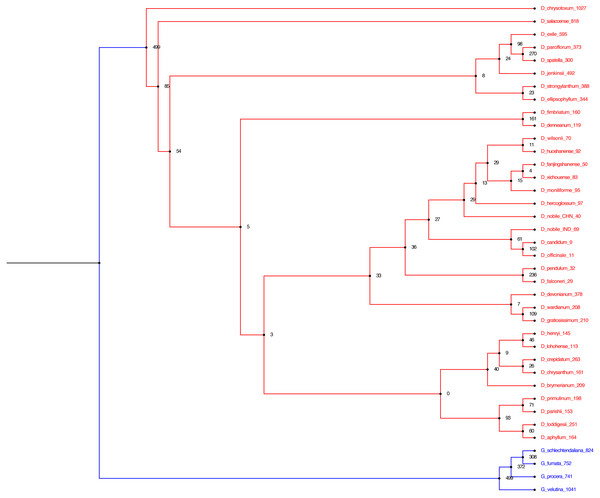 Alignment free phylogenetic tree reconstruction based on SNP identification.