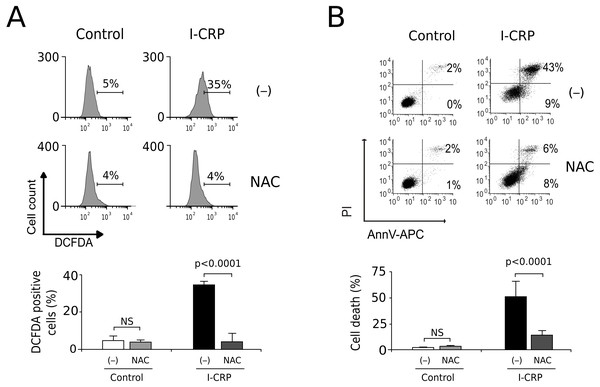 I-CRP induces ROS production and ROS-dependent cell death in A549 cells.