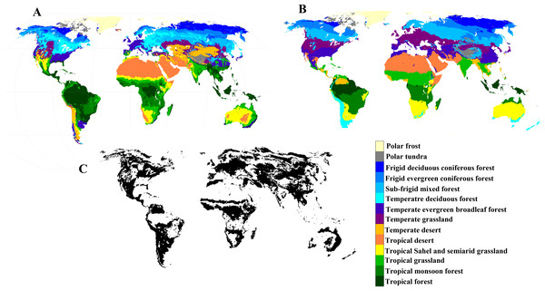 Human disturbance caused stronger influences on global vegetation ...