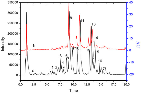 The chromatograms of S. tootsik detected by QTOF-MS (A) and DAD (B) after UPLC separation.