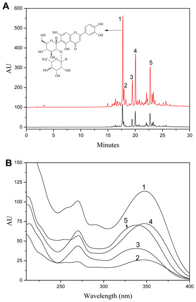 A: HPLC chromatogram of S. tootsik extract before (A) and after (B) resin purification; B: The UV spectra of peak 1–5.