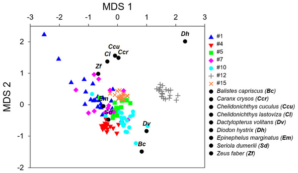 Non-metric multi-dimensional scaling plot (nMDS) of the fish calls exploring the resemblance between the seven recorded sound sequences (Table 4) and the sounds produced by 9 soniferous species that could occur in the surveyed ecosystems.