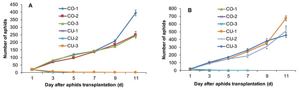 Population sizes of six aphid genotypes.