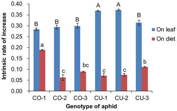 Intrinsic rate of increase (rm) of six aphid genotypes on artificial diet and native host leaves.