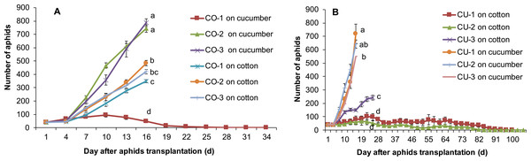 Population growth of artificial diet-conditioned aphids on cotton and cucumber excised leaves.