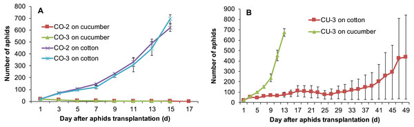 Population growth of three aphid genotypes on cotton and cucumber plants.