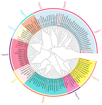 Genome-wide identification and characterization of heat shock protein ...