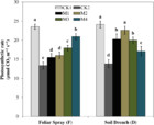 Exogenous melatonin confers drought stress by promoting plant growth ...