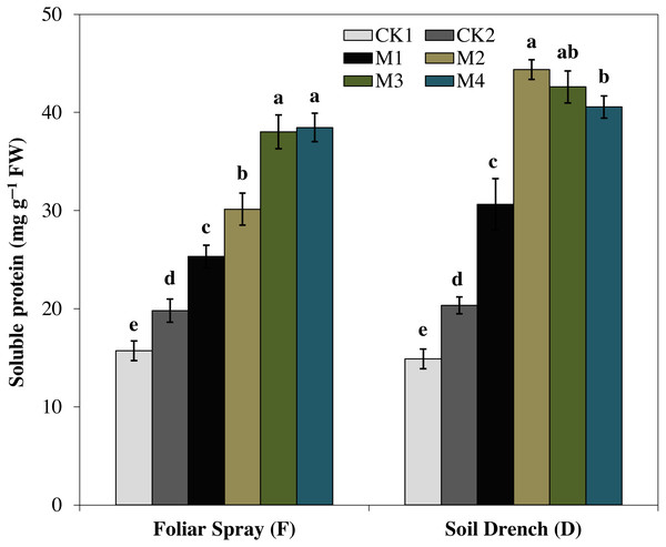 Effects of melatonin on soluble protein in maize seedlings under drought stress.