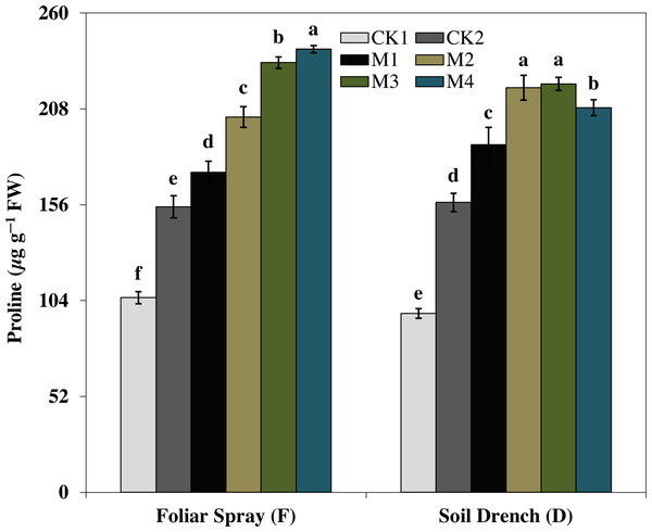 Effects of melatonin on proline content in maize seedlings under drought stress.