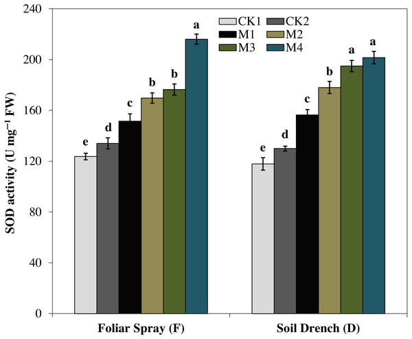 Effects of melatonin on superoxide dismutase (SOD) activity in maize seedlings under drought stress.