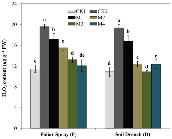 Effects of melatonin on H2O2 levels in maize seedlings under drought stress.