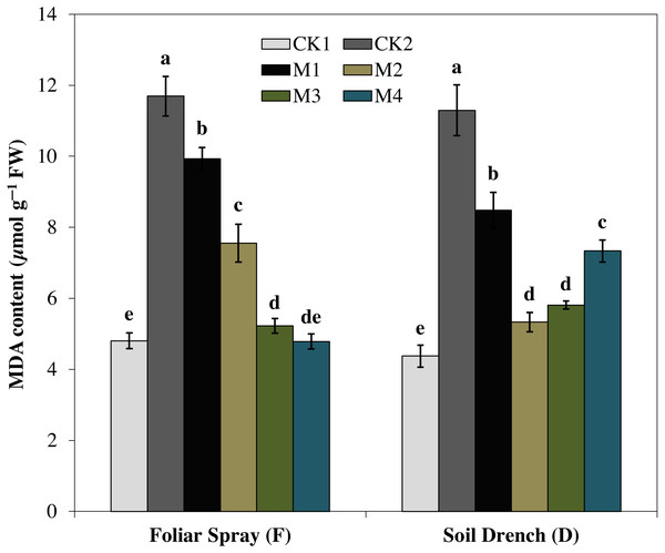Effects of melatonin on malondialdehyde (MDA) content in maize seedlings under drought stress.