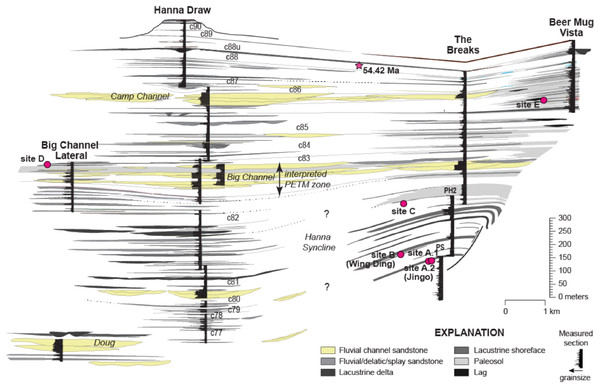 Stratigraphic framework for the Hanna Basin, late Paleocene–Early Eocene.