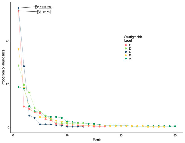 Rank abundance curve for all stratigraphic levels.