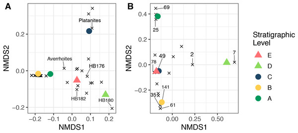 Nonmetric multidimensional scaling ordination.