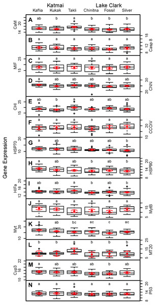 Boxplots of gene transcription data (normalized CT values) obtained from 120 mussels collected at six sites in Lake Clark and Katmai National Parks and Preserves.