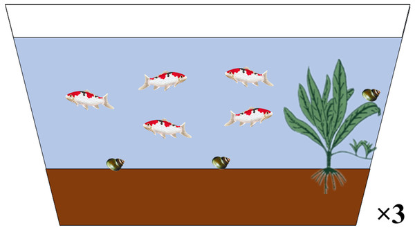 Simulated aquatic micro-ecological system.