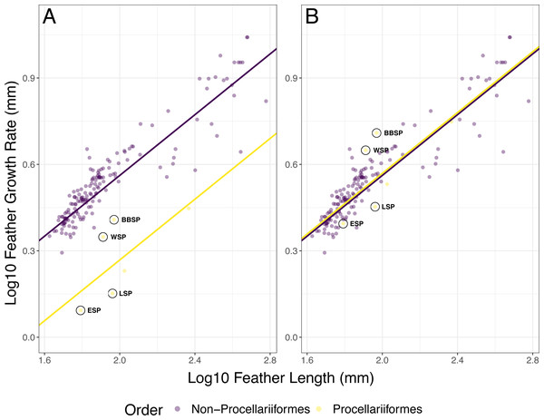Phylogenetic generalized least squares (PGLS) models for feather growth rate (FGR) based on feather length (FL).
