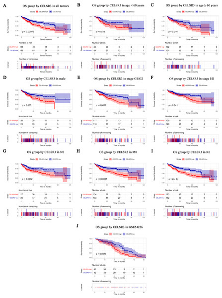 Survival analysis of CELSR3 expression in terms of overall survival (OS).