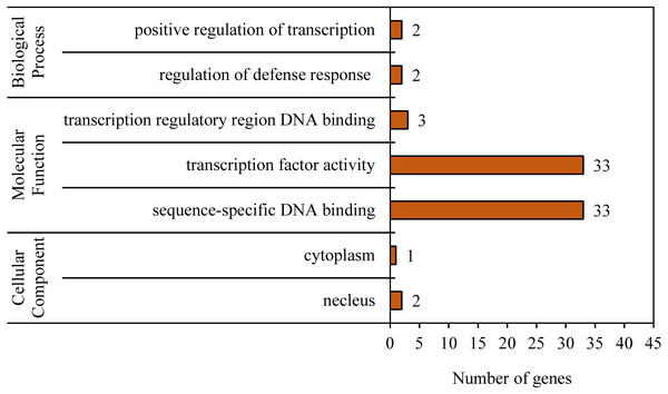 Gene ontology (GO) analysis of the BvWRKY genes.