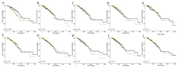 K-M curves of the core lncRNAs in breast cancer.