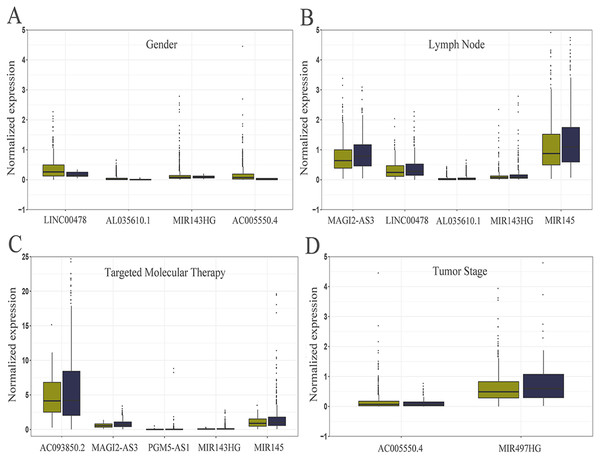 Relationship between the expression of core lncRNAs and different clinical parameters in breast cancer from TCGA.