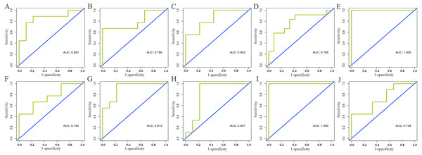Validation of diagnostic value of core lncRNAs by ROC curves based on GEO dataset (GSE125677).