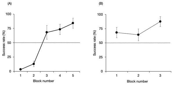 Success rate of the no-delay phase of the (A) Lusky–Chiku and (B) Maru–Chiku pairs.