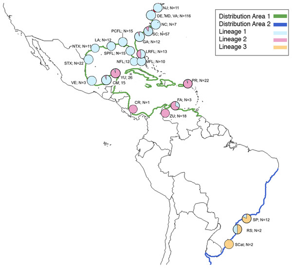 Map of natural distribution of C. sapidus along with collection locations and number of specimens successfully sequenced for this study showing proportion of each lineage in each location.