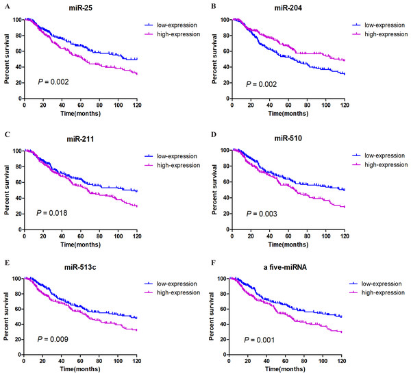 Survival analysis and prognosis of cutaneous melanoma patients from TCGA.