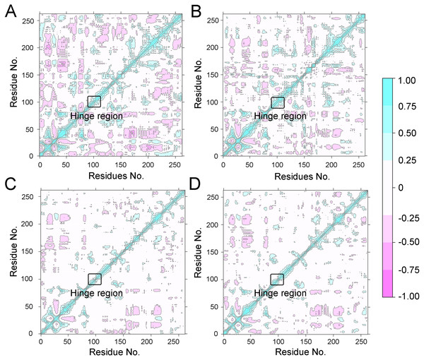 Dynamical cross-correlation (DCC) analysis of fluctuations of residues from cMD simulations.