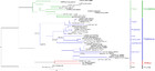 Complete mitochondrial genome sequence of Labriocimbex sinicus, a new ...