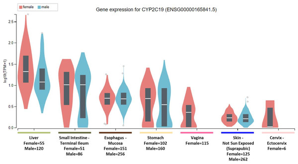 CYP2C19 gene expression across human tissues.